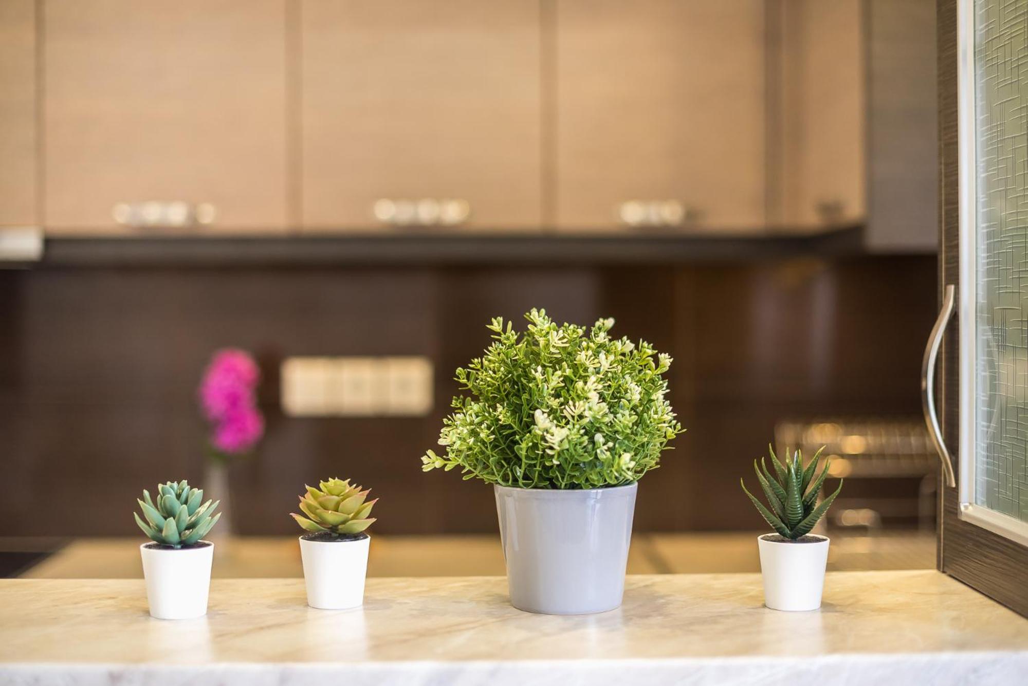 Rigas Apartment In Ilioupoli アテネ エクステリア 写真