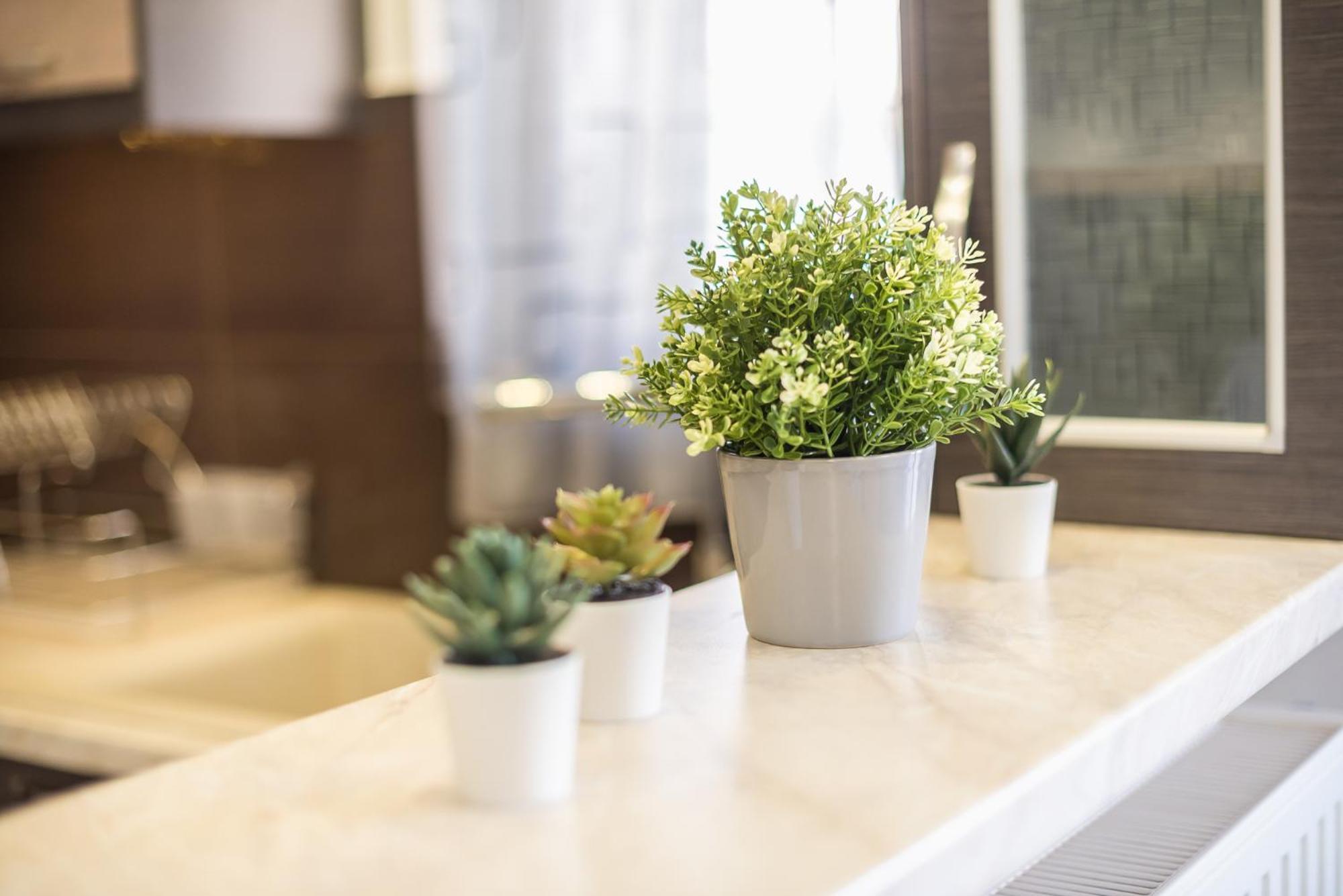 Rigas Apartment In Ilioupoli アテネ エクステリア 写真
